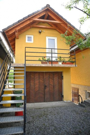 Casa Aron